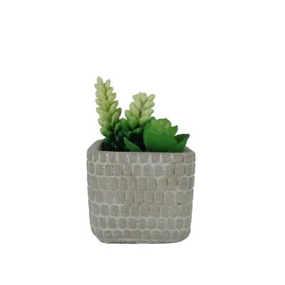 China 2020 Modern Trendy Nordic Style Succulent Pot Cement Pot Small Indoor Decorative Flower Pots For Glants Green for sale