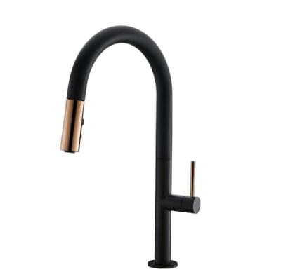 China Modern Modern Pull Out Designer Brass Sink Kitchen Faucet for sale