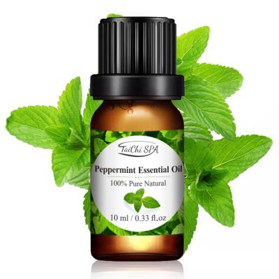 China Aroma Relax Honeysuckle Aromatherapy Essential Oil Nature Pure Peppermint Essential Oils For Diffuser for sale