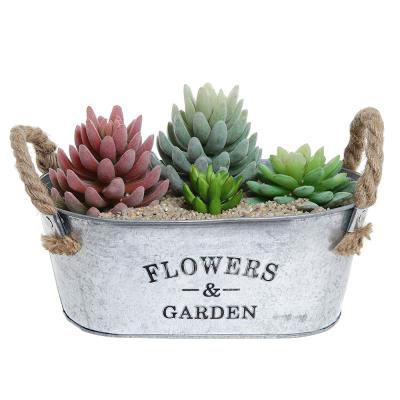 China Eco-Friendly Rustic Flowers & Succulent Garden Bucket Design Small Metal Plant Container w/Twine Handles for sale