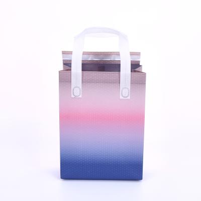 China 2021 Recyclable New Fashion Thermal Insulation Thickened Fabric Outdoor Oxford Composite Packing Bags 5 Color for sale