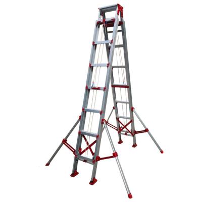 China Contemporary Reinforced Legs Telescopic Aluminum Alloy More Stable Lifting Ladder for sale