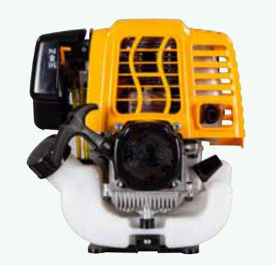 China 139F Single Cylinder Air Cooled Four Stroke Gasoline Air Cooled Engine For Garden Farm Machinery for sale