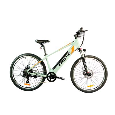 China Aluminum Alloy GDS EBIKE E-Bike Mountainbike E Cycle 2021 Electric Bicycle for sale