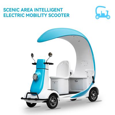 China Electric Sightseeing Vehicles Manufacturer | CE Certified & Custom Design for sale