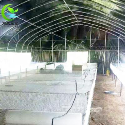 China High Quality And Cheap Green House Mushroom Price PE Greenhouse for sale