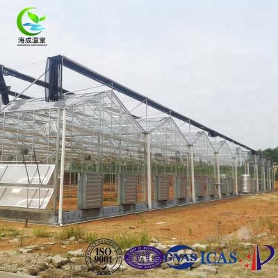 China Vegetable Hydroponic Multi Span Hot Sale Green House Fruit Flowers Venlo Glass Greenhouse For Strawberry for sale