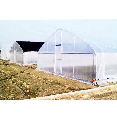 China Economical Hot Galvanized Green House Single Film PE Vegetable Span Greenhouse For Tomato for sale