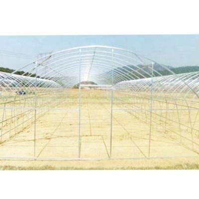 China Fruits Vegetable Flowers Customized Design Agriculture Green House Canopy 200 Micron Greenhouse Film for sale