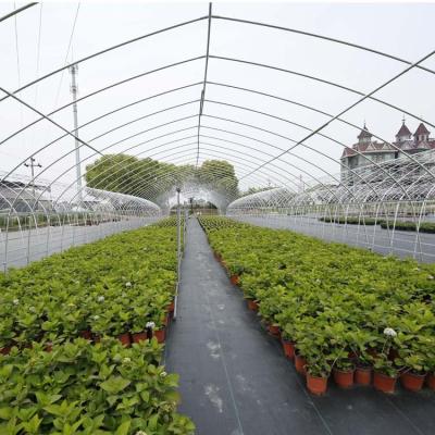 China Vegetable Fruit Flowers All Green House Effect Cucumber Good Quality Geothermal Greenhouse for sale