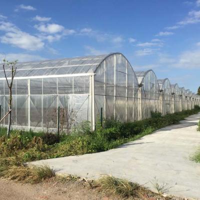 China PE Customized Design Large Greenhouse Polytunnel Frame Bowl for sale