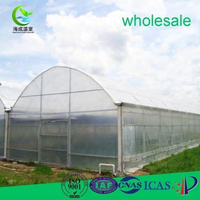 China Experienced Export Farm Greenhouse Tunnel Green PE Factory House for sale