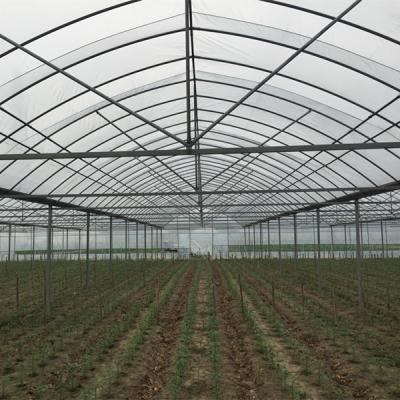 China PE Garden Greenhouse Commercial Shade Greenhouse Net Plastic Cover for sale