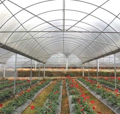 China PE High Effective arch greenhouse cucumber green house net for sale