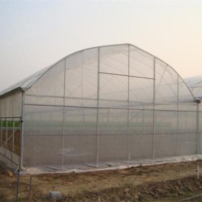 China Various Widely PE Aquaponics Greenhouse Green House Cover With Film for sale