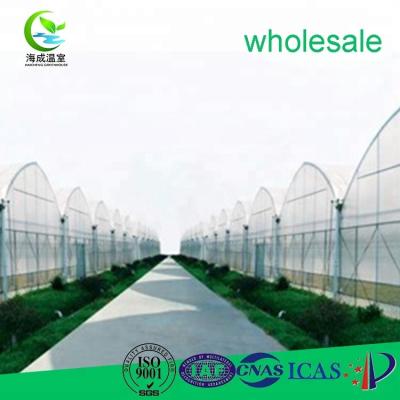 China Economical tropical industrial PE greenhouse multispan duct for sale