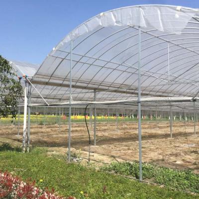 China Commercial Plastic PE Cover Circle Greenhouse With Hydroponic System for sale