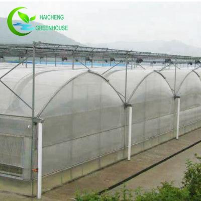 China PE Blackout Drip Irrigation For Greenhouse Aluminum Profile Factory Pipe Manufacturer for sale