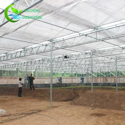 China Prefab Open PE Roof Steel Structure For Greenhouse Ventilation for sale