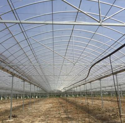 China PE Professional green house fan galvanized pipe for greenhouse cover net for sale