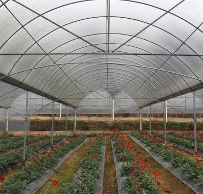 China Orto Green House Portable UV Plastic Sheet Greenhouse PE Factory Sale Greenhouse for sale