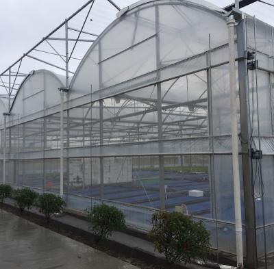 China Experienced PE Factory Steel For Greenhouse Plastic Film Waterproofing Material for sale