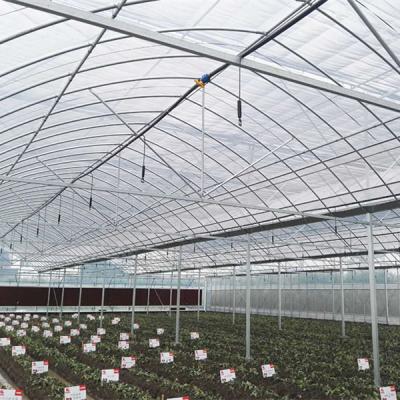 China Cheap PE China Green House Plastic Sheet Steel For Greenhouse Aluminum Profile for sale