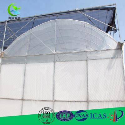 China China Cheap PE Plastic Sheet Greenhouse UV Plastic Tarpaulins Galvanize Pipe for sale