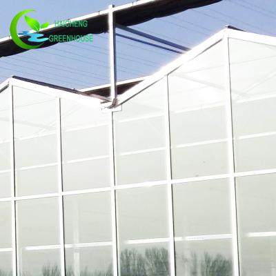 China Multi Span Greenhouse Glass Professional Hot Galvanizing Glass Venlo for sale