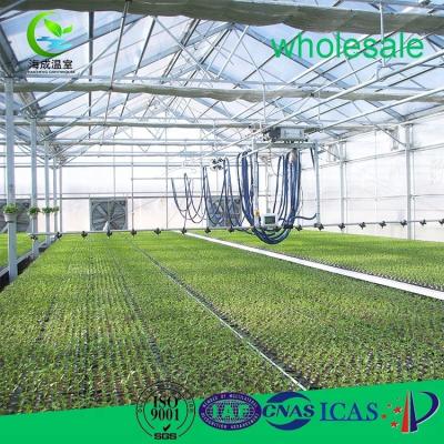 China Factory Direct Selling CO2 Glass Agriculture Greenhouse Automatic Green House for sale