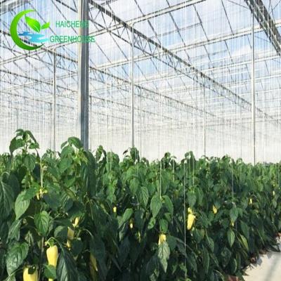 China Factory Direct Sale Greenhouse Dome Fiberglass Roofing Sheets Irrigation Glass Geodesic Controller for sale