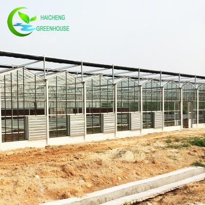 China Heat Preservation Glass Greenhouse Agricultural Shading Glass Frame for sale