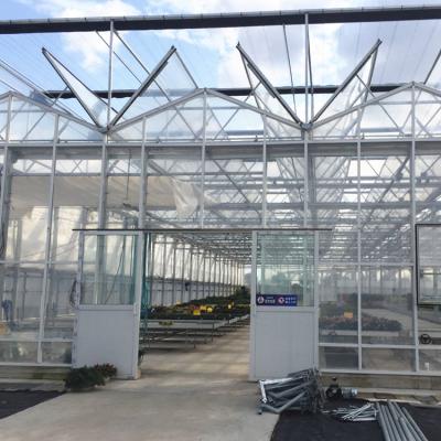 China Lush Glass In Glass Commercial Design Fruit Greenhouse Frame for sale