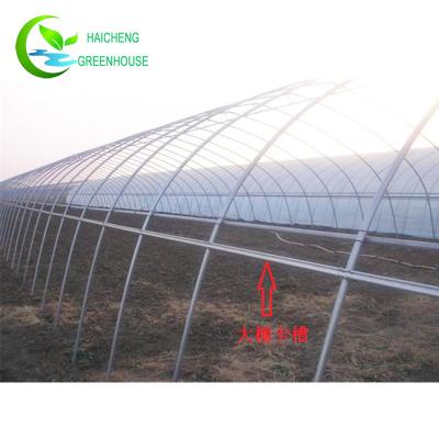 China 2022 EP New Model Fruit Mushroom Green House Plant Tunnel for sale