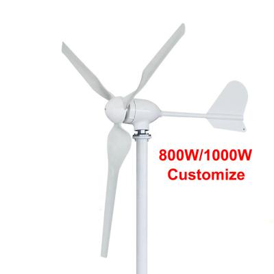 China ESG Wind Turbine Generator 12v 24v 48v 600W 800W 1000W 5000w OULAN-WT-009 Horizontal Wind Turbine Windmill Wind Turbine for sale