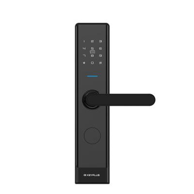 China New Design Household Door Locks Digital Zinc Alloy Biometric Fingerprint Password Wifi Blue Tooth Open Smart Door Lock for sale