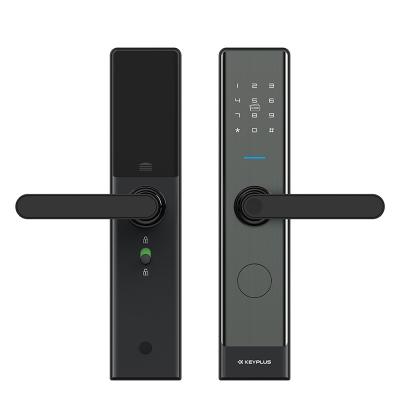 China Household Door Locks Factory Price Fingerprint Password Card Key NFC Wifi Blue Tooth Remote Control Smart Door Lock for sale