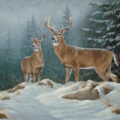 China Lenticular Customize 3D 3D lenticular printing photo scenary, 3d image of deer for sale