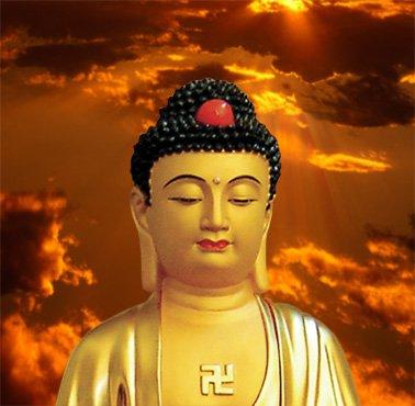 China Best Quality Eco - Friendly Buddha Statue 3d Figures , Religious 3d Images Pictures for sale