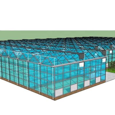 China Customized Glass-Covered Vegetable Greenhouse for Restaurant Growth for sale