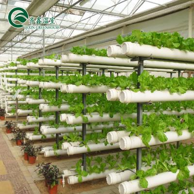 China Sistema hidropónico vertical cubierto de vidrio para el cultivo de verduras, frutas y flores en venta