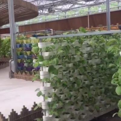 China Sistema aquático aquapónico comercial Estufas PO pré-fabricadas para vegetais à venda