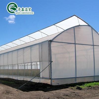 China Groentehuis voor landbouw met een enkele laag PO Commercial Multi Span Polycarbonate Sheet Greenhouse Te koop