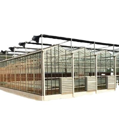 China Glass Greenhouse Ventilation System with Tempered Glass or PC Sheet Top Covering for sale