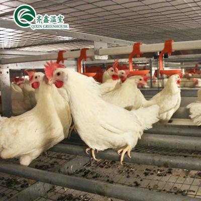 China Large Double Layer Chicken Farm Multi-Span Film Greenhouse Customizable Size for sale