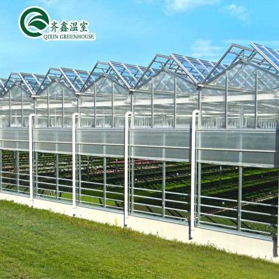 China Hortalizas Frutas Flores Tomates Invernadero con sistema de sombreado interior y exterior en venta