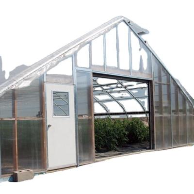 China Equipamento de cultivo de cogumelos de estufa com um único comprimento coberto por uma película de plástico transparente à venda