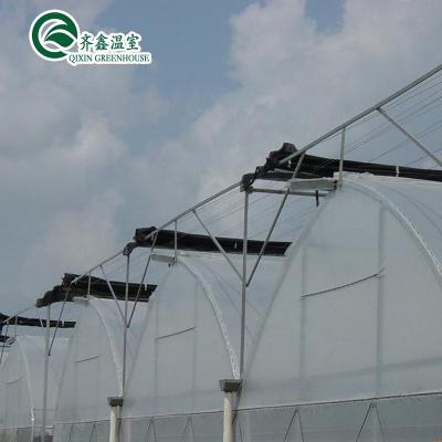 China South Korea Agricultural Greenhouse with Ebb Flow Rolling Bench and Inside Shading System for sale