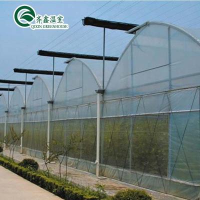 China Plastic film bedekte polytunnel kas met hydroponisch systeem en ventilatie Te koop