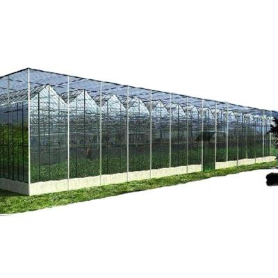 China Customized Canada Tunnel Greenhouse Garden Tunnel with Glass or PC Sheet for sale